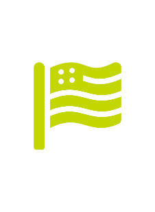 USA Flag