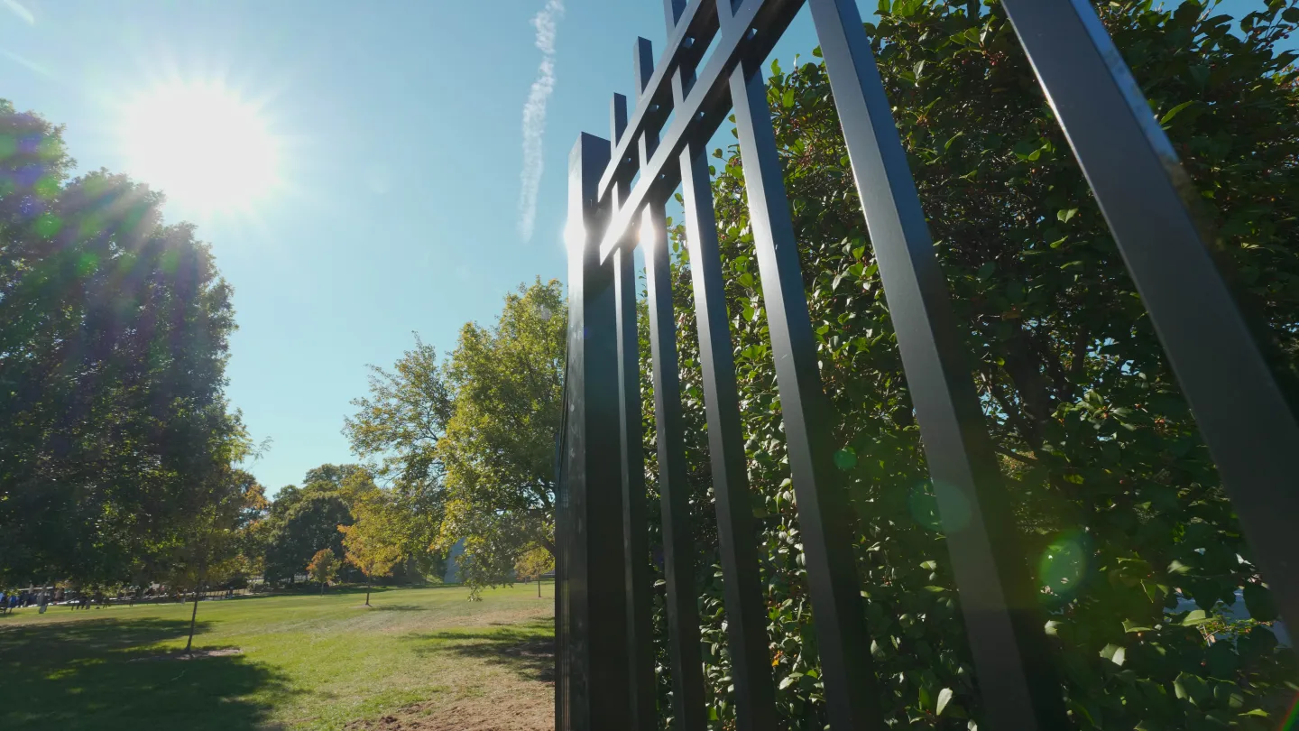 Fence